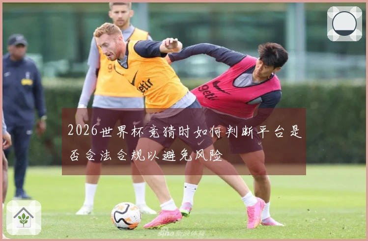 2026世界杯竞猜时如何判断平台是否合法合规以避免风险