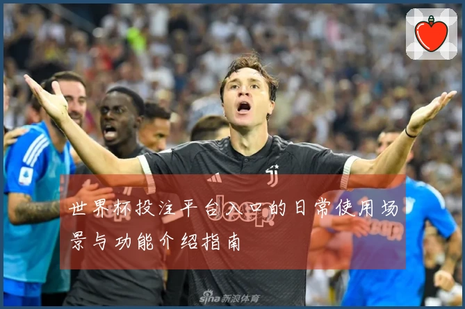 世界杯投注平台入口的日常使用场景与功能介绍指南