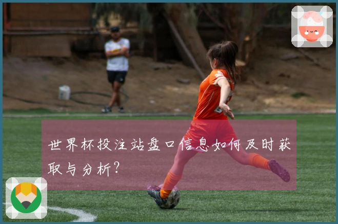 世界杯投注站盘口信息如何及时获取与分析？