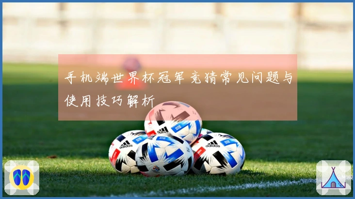 手机端世界杯冠军竞猜常见问题与使用技巧解析