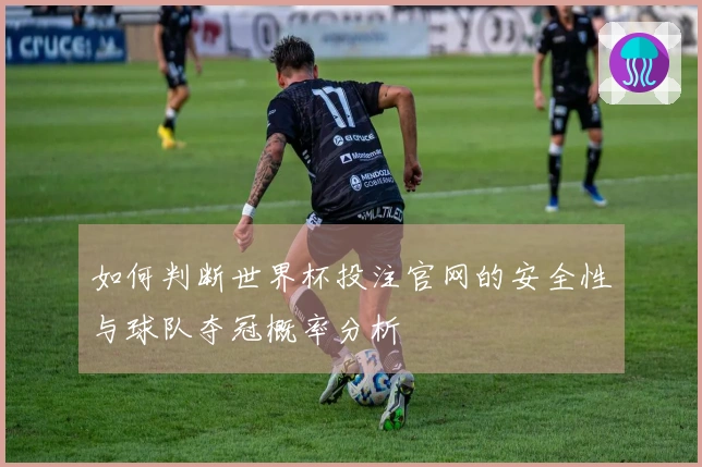 如何判断世界杯投注官网的安全性与球队夺冠概率分析