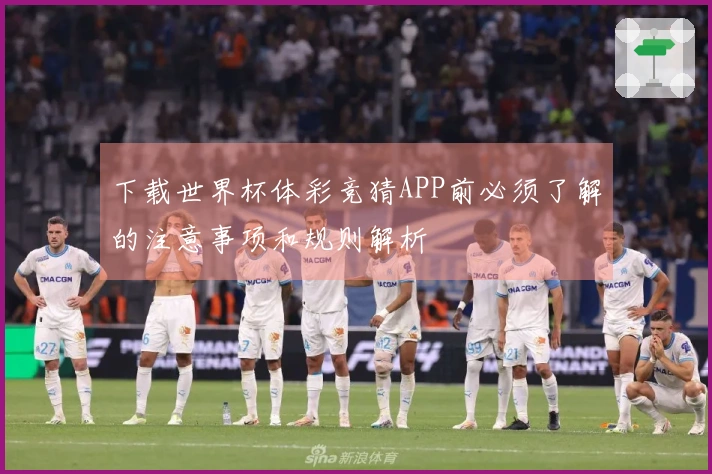 下载世界杯体彩竞猜APP前必须了解的注意事项和规则解析