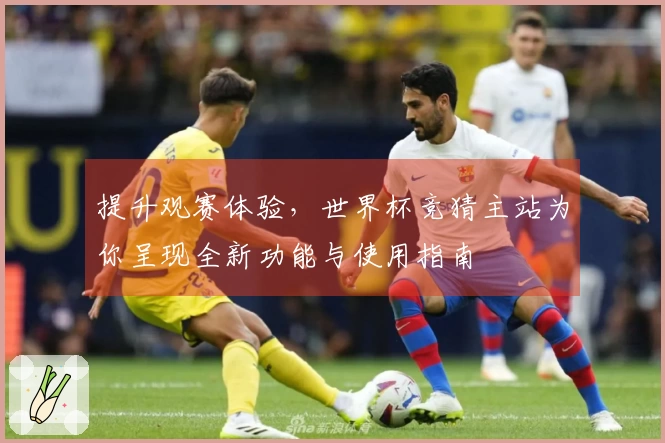 提升观赛体验,世界杯竞猜主站为你呈现全新功能与使用指南