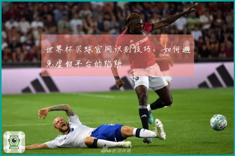 世界杯买球官网识别技巧，如何避免虚假平台的陷阱