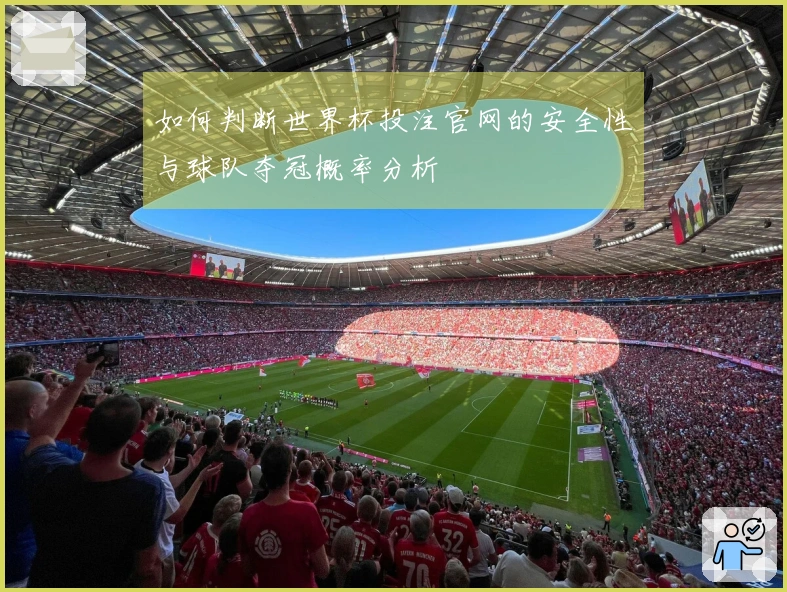如何判断世界杯投注官网的安全性与球队夺冠概率分析