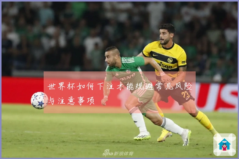 世界杯如何下注才能规避常见风险与注意事项