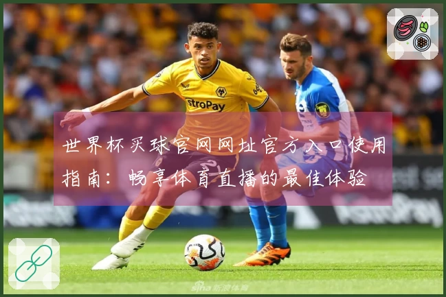 世界杯买球官网网址官方入口使用指南：畅享体育直播的最佳体验