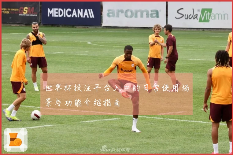 世界杯投注平台入口的日常使用场景与功能介绍指南