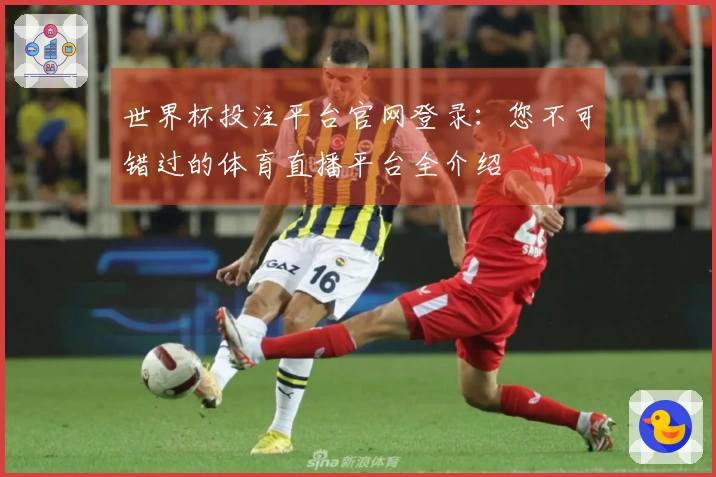 世界杯投注平台官网登录：您不可错过的体育直播平台全介绍