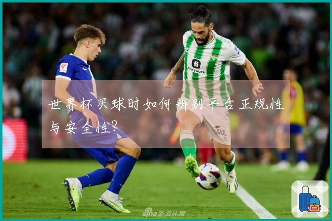 世界杯买球时如何辨别平台正规性与安全性？