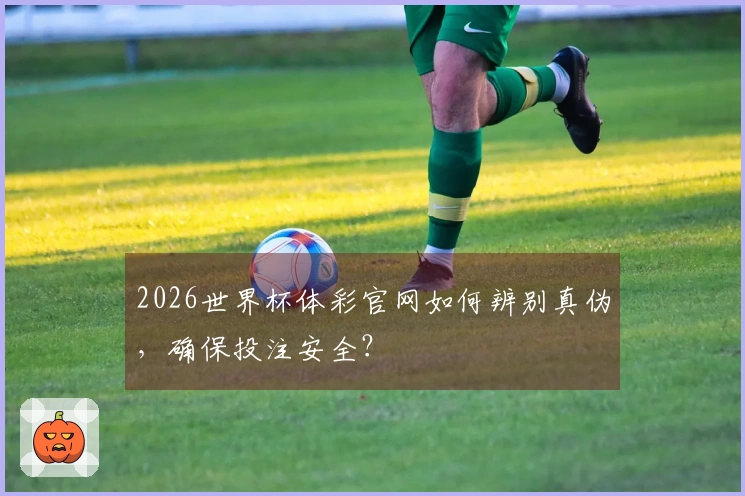 2026世界杯体彩官网如何辨别真伪，确保投注安全？