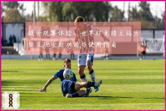 提升观赛体验，世界杯竞猜主站为你呈现全新功能与使用指南