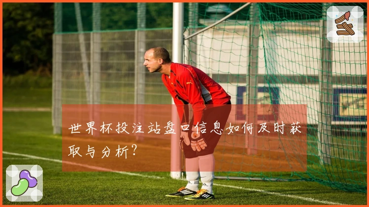 世界杯投注站盘口信息如何及时获取与分析？