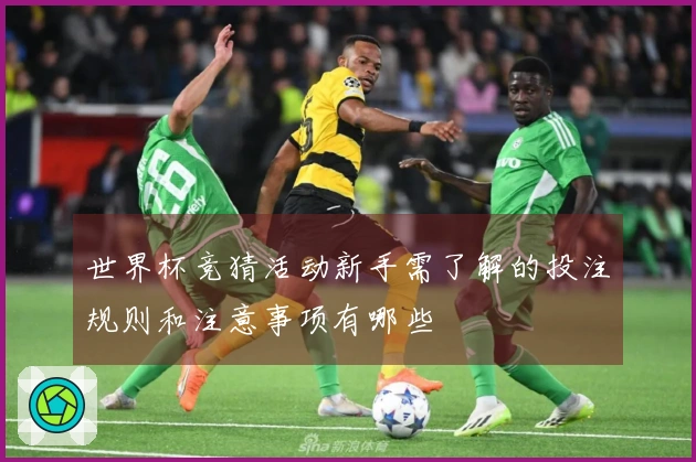 世界杯竞猜活动新手需了解的投注规则和注意事项有哪些